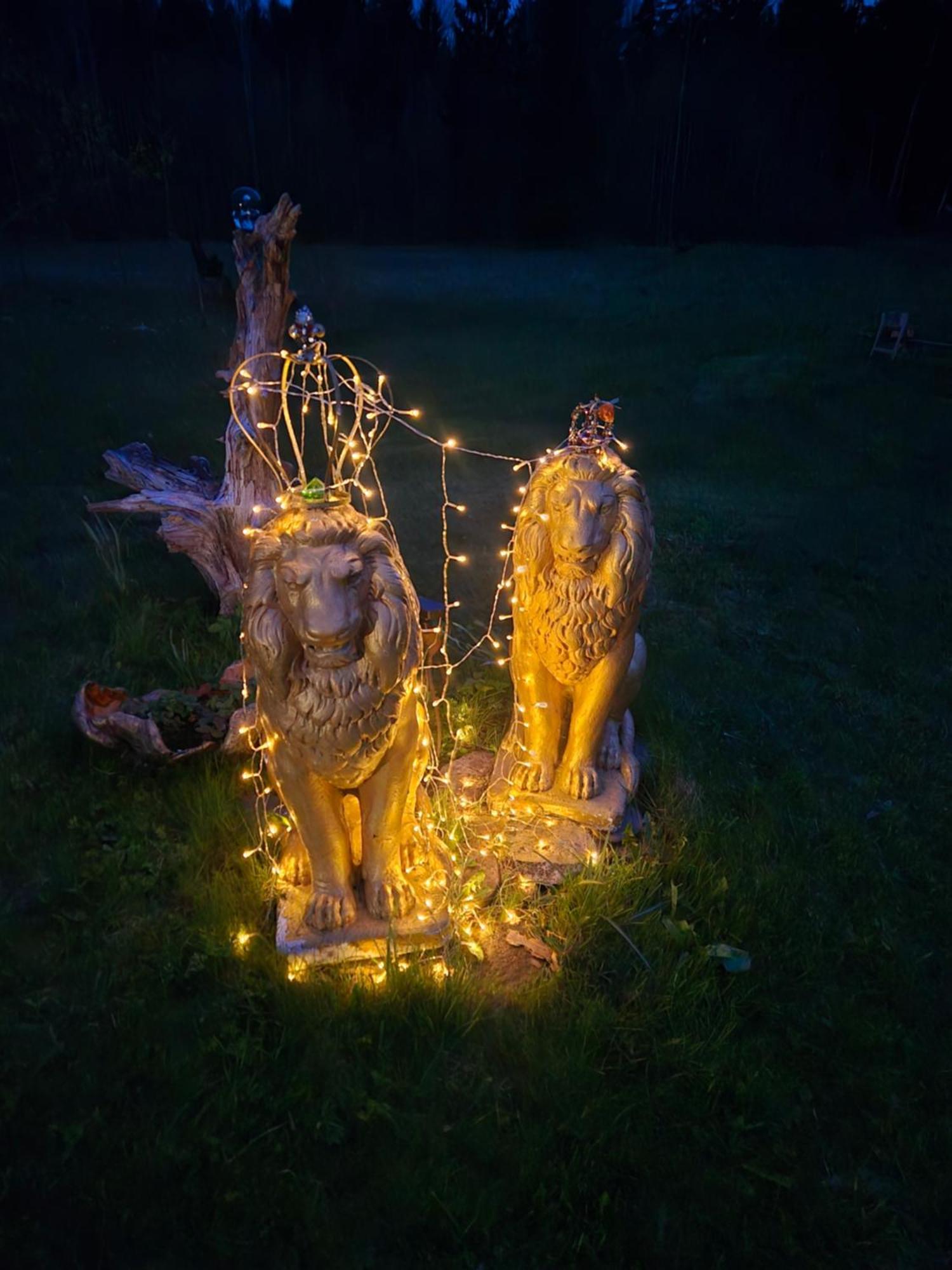 Gold Sun Zelta Saule Villa Matkule Bagian luar foto
